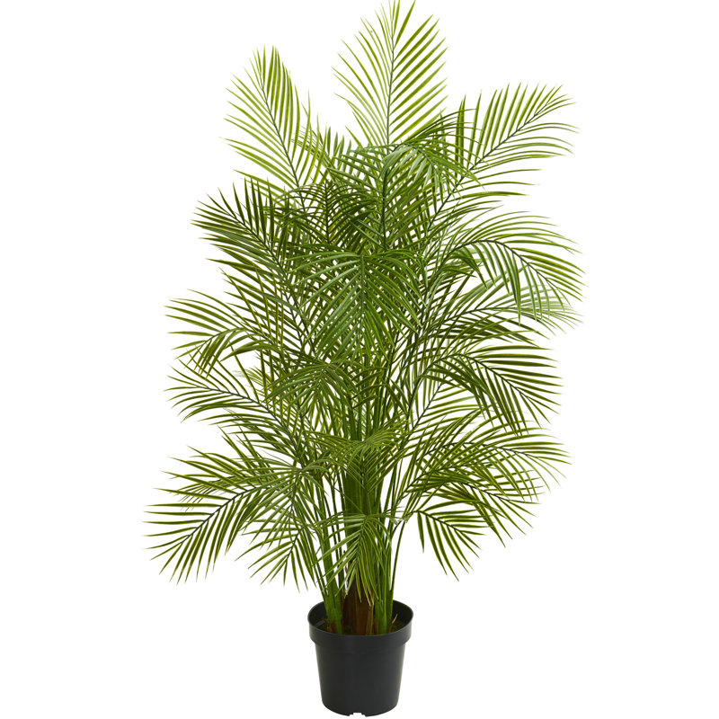 Bay Isle Home 60" Artificial Palm Tree in Planter & Reviews Wayfair